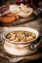 Sour cabbage soup Royalty Free Stock Photo