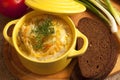 Sour cabbage soup Royalty Free Stock Photo