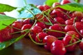 Sour cherries