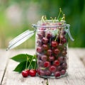 Sour cherries Royalty Free Stock Photo