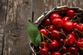 Sour cherries in basket Royalty Free Stock Photo
