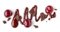 Sour cherries and melted chocolate Royalty Free Stock Photo