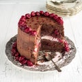Sour cherry chocolate cake