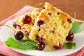 Sour cherry crumb bars Royalty Free Stock Photo