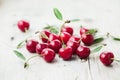 Sour Cherry