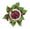 Sour cherry on a green leaf Royalty Free Stock Photo