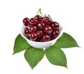 Sour cherry on a green leaf isolated Royalty Free Stock Photo