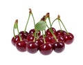 Sour cherry isolated on white