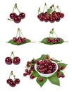 Sour cherry isolated on white Royalty Free Stock Photo