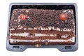 Sour cherry torte, cake cocoa sponge layers with cherry and cream filling isolated on white