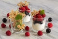 Sour cream in a glass with raspberries and currants. Assorted berries with sour product. Royalty Free Stock Photo