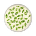 Sour cream and green onion in bowl isolated on white background. Top view Royalty Free Stock Photo