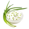 sour cream with onion in bowl Royalty Free Stock Photo