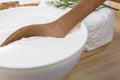 Sour cream and quark Royalty Free Stock Photo