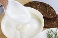 Sour cream and quark Royalty Free Stock Photo