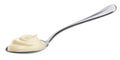 Sour cream in spoon isolated on white background Royalty Free Stock Photo