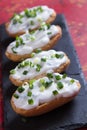 Sour cream spread with home made bread Royalty Free Stock Photo