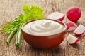 Sour cream and vegetables Royalty Free Stock Photo