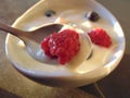 Yogurt  in a bowl and fresh berries, close up. Royalty Free Stock Photo