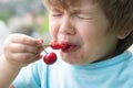 Sour. Sour taste. A child tastes a cherry. Ripe harvest. Vitamins. Sour cherry.