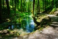 Source of the Ebro river in the forest called Fontibre. Cantabria