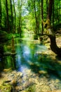 Source of the Ebro river in the forest called Fontibre. Cantabria