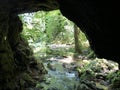 The source of the Jankovacki creek in a Park forest Jankovac or Izvor Jankovackog potoka u Park sumi Jankovac