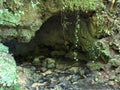 The source of the Jankovacki creek in a Park forest Jankovac or Izvor Jankovackog potoka u Park sumi Jankovac