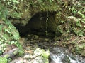 The source of the Jankovacki creek in a Park forest Jankovac or Izvor Jankovackog potoka u Park sumi Jankovac