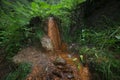 Source of mineral water in the mountains Royalty Free Stock Photo