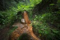 Source of mineral water in the mountains Royalty Free Stock Photo