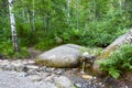 The source of natural water, wellspring, flowing through rocks in forest