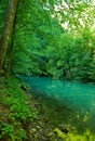 The source of the river Kupa in forest Royalty Free Stock Photo