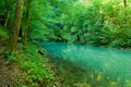 The source of the river Kupa in forest Royalty Free Stock Photo