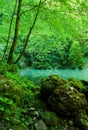 The source of the river Kupa in forest Royalty Free Stock Photo