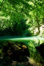 The source of the river Kupa in forest Royalty Free Stock Photo