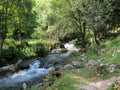 Source of the river Resava in Lisine, Serbia
