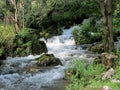 Source of the river Resava in Lisine, Serbia Royalty Free Stock Photo
