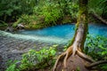 The source of teh blue- - Rio Celeste river - Arenal day trip Views around Costa Rica