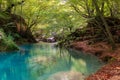 Source of Urederra river, Navarre, Spain