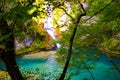 The source of Urederra or the route of the waterfalls of Baquedano, in Navarre, Spain.