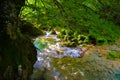 The source of Urederra or the route of the waterfalls of Baquedano, in Navarre, Spain.