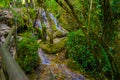 The source of Urederra or the route of the waterfalls of Baquedano, in Navarre, Spain.