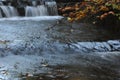 Source Vistula. Crystalline stream, clean water