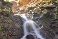 Source Vistula. Crystalline stream, clean water