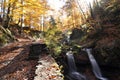 Source Vistula. Crystalline stream, clean water