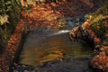 Source Vistula. Crystalline stream, clean water