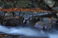 Source Vistula. Crystalline stream, clean water