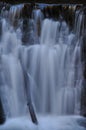 Source Vistula. Crystalline stream, clean water