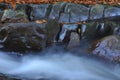Source Vistula. Crystalline stream, clean water